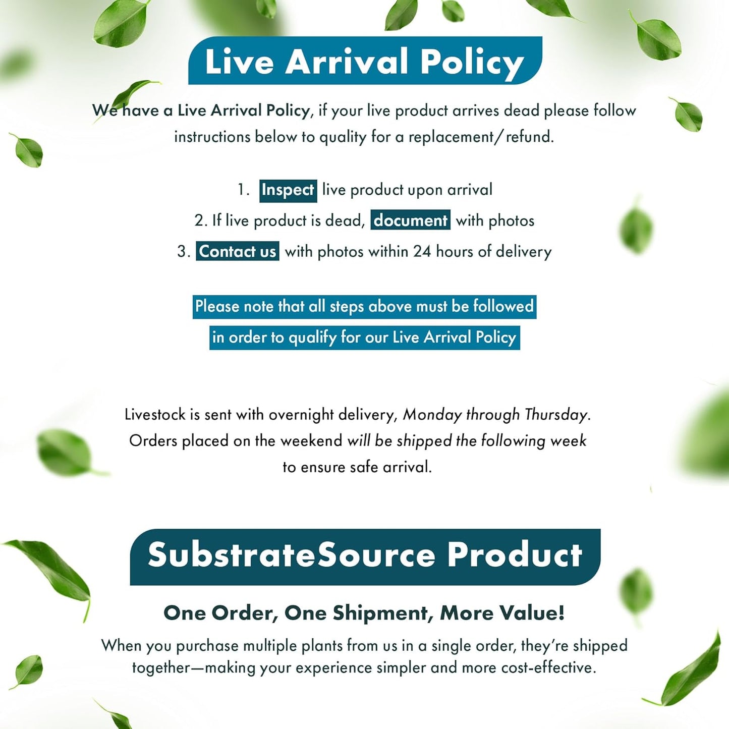 Anubias Live Aquarium Plants - Anubias Nana Tropica (Anubias barteri Nana) - Low Light Epiphytic Rhizome for Foreground to Midground Freshwater Aquascapes, Dark Green Accent - Pot