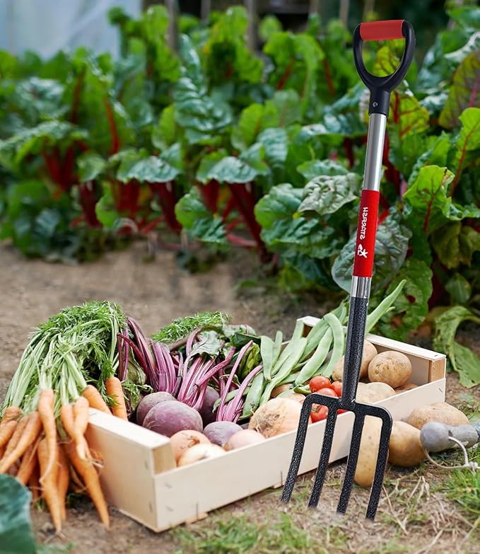 Garden Digging Forks with Premium 4-Tine Forged Steel Digging Fork D-Grip Handles 41" Sturdy Metal D-Handle Virtually Unbreakable Gardening Tool 2 Pcs