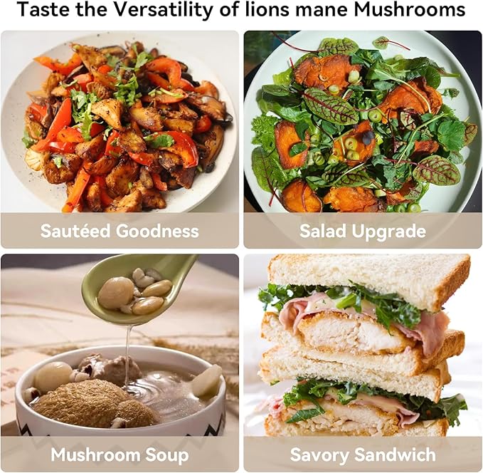 inbloom Large Organic Lion's Mane Mushroom Growing Kit (4 lbs) – Double-Side Growth, Edible Non-GMO Mushroom Kit, Beginner-Friendly, Harvest Mushrooms at Home, Indoor Gardening Gift for Adults