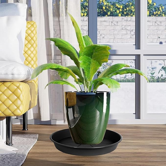 2 Pack of Plant Saucer 12 inch, Black Plastic Flower Plant Pot Saucer, Heavy Duty Plant Drip Trays Saucers for Indoor, Plant Water Tray for Planters
