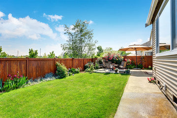 2025 Garden Trends in America: What’s Hot in Landscaping & Outdoor Decor