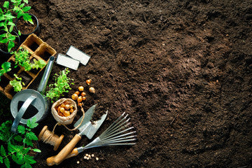 Top 15 Must-Have Gardening Tools for Home Gardeners in 2025