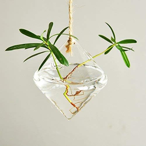 Glass Hanging Planters Indoor Outdoor Plant Pots Water Plant Containers Flower Pots Glass Terrariums Wall Vases 3 Pieces