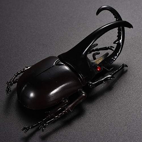 Hiawbon 5.5 inch Fake Beetle Simulated Beetle Model Realistic Plastic Beetle Figures for Fairy Garden Decoration, Set of 6