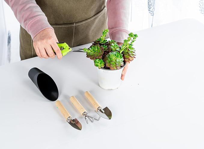 5Pcs Succulent Tools Mini Garden Small Gardening Tools Indoor, Pruning Shear Gardening Scissors, Hand kit for Bonsai, Cactus, Fairy, Houseplant of Transplanting, Repotting, Seedling Soil