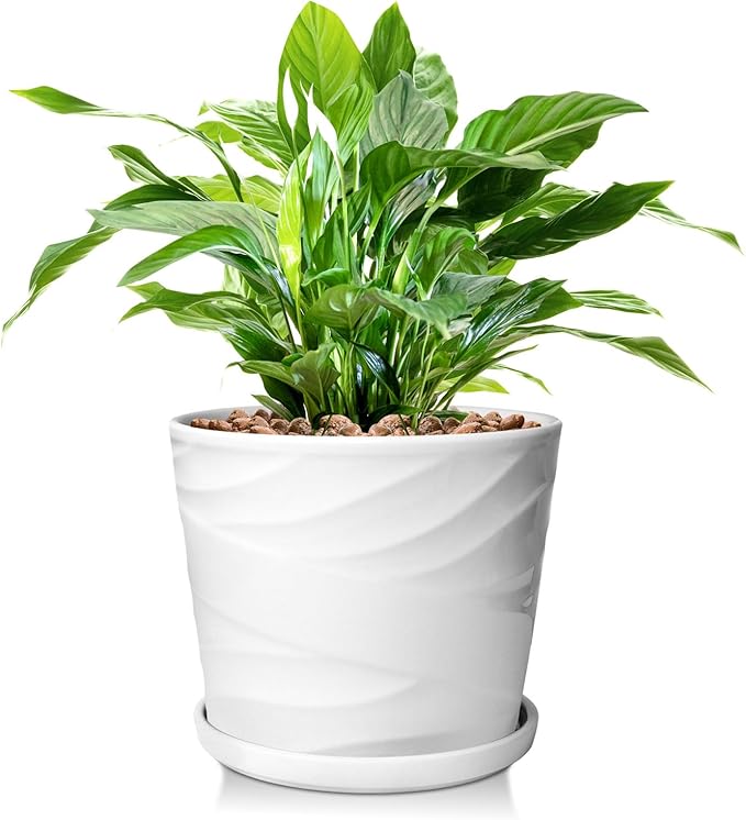 8 Inch Plant Pot, Ceramic Planter with Drainage and Saucer, Ceramic Pots for Plants, Indoor Plant pots,Succulent Orchid Flower Pot(Pure White)