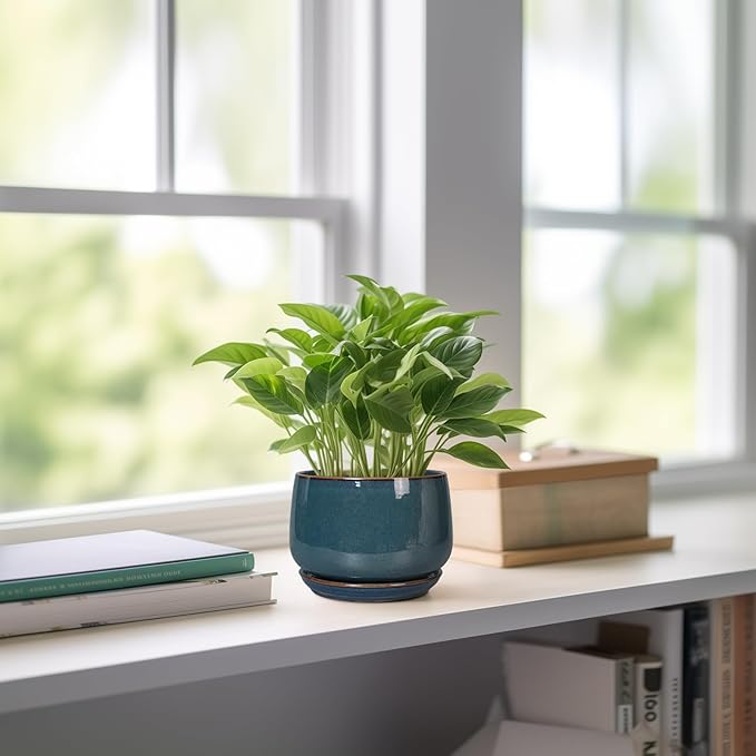 G EPGardening Ceramic Pots for Plants - 4 inch Plant Pots for Indoor Outdoor, Small Planter with Drainage Hole & Tray, Modern Succulent Pots, Round Planter, Office Decor, Home Gifts, Retro Blue