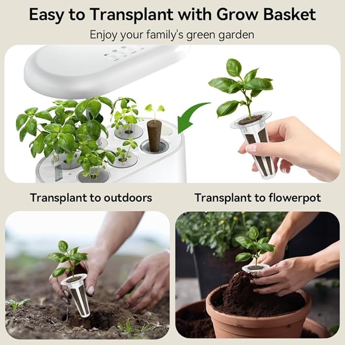 inbloom Asian Herb Seed Pod Kit for AeroGarden, iDoo, Ahopegarden, 7 Pods with 350+ Seeds (Basil, Parsley, Cilantro, Chrysanthemum, Pak Choi, Crystalline Ice Plant, Onion) Hydroponics Growing System