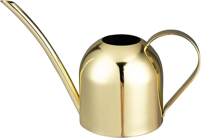 IMEEA Gold Watering Can for Indoor Plants, Orchid, Bonsai - Stainless Steel With Long Spout for House, Desk, Office - 15oz/450ml