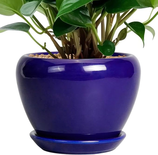 6 Inch Plant Pot - Ceramic Pots for Plants Succulent Pot with Drainage Hole and Saucer Round Planter Outdoor Flower Pot for Herb Snake Plants Blue