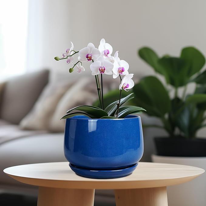 G EPGardening Round Ceramic Plant Pots - 7 Inch Modern Planter with Drainage and Plant Saucer for Indoor Outdoor Flower, Round Office Decor, New Gifts for Home, Blue