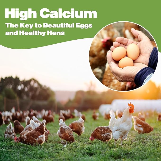 5LB Dried Black Soldier Fly Larvae, 86X Calcium Than Dried Mealworms, High Protein Non-GMO Organic Chicken Feed