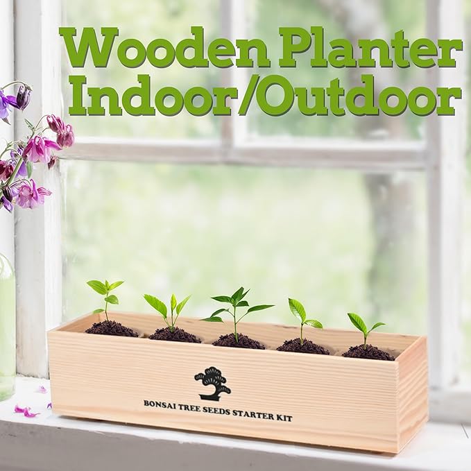Indoor Bonsai Garden Starter Kit, 5 Seeds Growing into Red Maple, Wisteria, Black Pine, Judas Tree, Acacia, Including Complete Gardening Planters & A Wooden Box, Christmas Gifts for Women