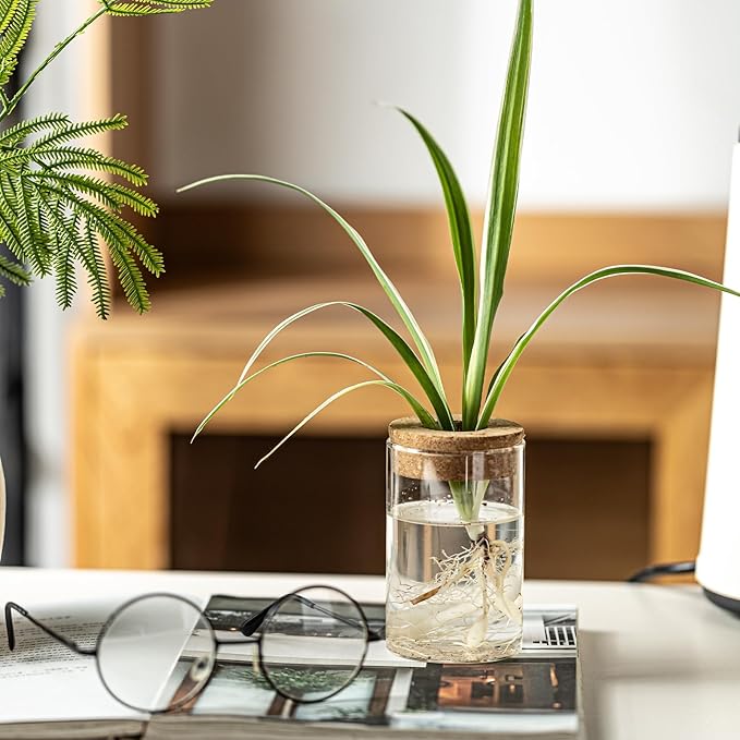 Glass Plant Propagation Stations for Plants – Set of 4(4 Large & 4 Small) Hydroponic Vases for Plant Cuttings,Flower Arrangements, Home & Office Decor–Desktop Vases for Living Room, Bedroom (8)