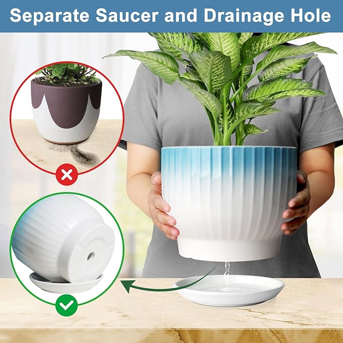 8 Inch Plant Pot, Ceramic Planter with Drainage and Saucer, Ceramic Pots for Plants, Indoor Plant pots,Ceramic Flower pots(Blue + White, Plants NOT Included)
