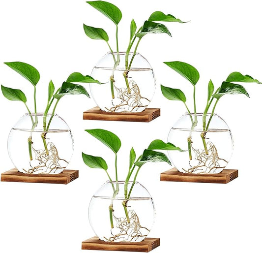 4 Pack Plant Propagation Station with Wooden Base Glass Terrariums for Indoor Plants Decorative Round Vases for Flowers Hydroponic Planter for Home Office Decor
