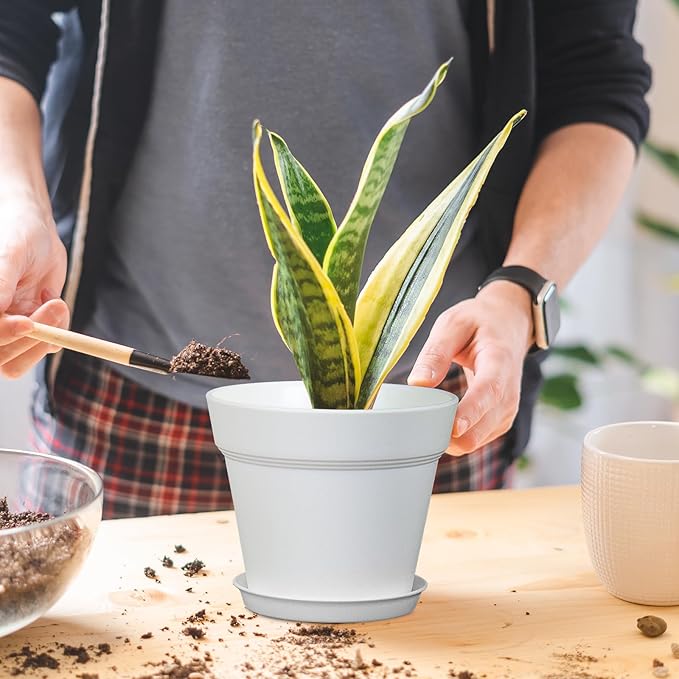 6 inch Small Plastic Nursery Pots, Seedling Pots, 16 Pack Plant Pots for Indoor Outdoor Plants, Flower Pots with Drainage Holes and Saucers, Decorative Planters for House Plants, White