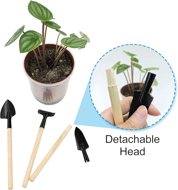 Andiker Mini Gardening Tools, 3pcs Portable Garden Hand Tools Set, Miniature Gardening Rake Trowel and Shovel for Seedlings, Bonsai, Succulents, Herbs, Terrariums and Planting (3pcs)
