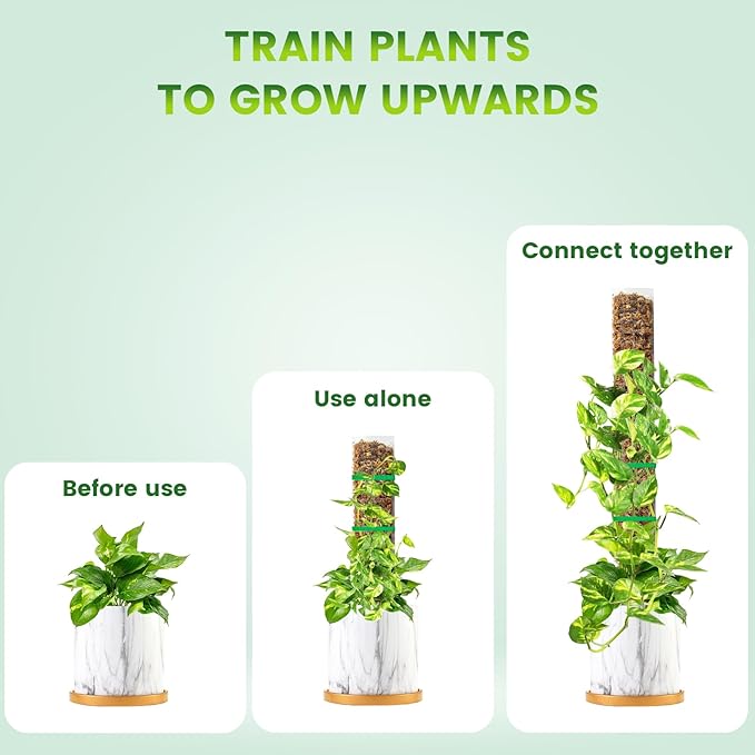 15 Inch 8 Pcs Plastic Moss Pole for Plants Monstera, 8×15'' Plant Poles for Climbing Plants, Plant Support for Indoor Plants Work with Sphagnum Moss, Clear