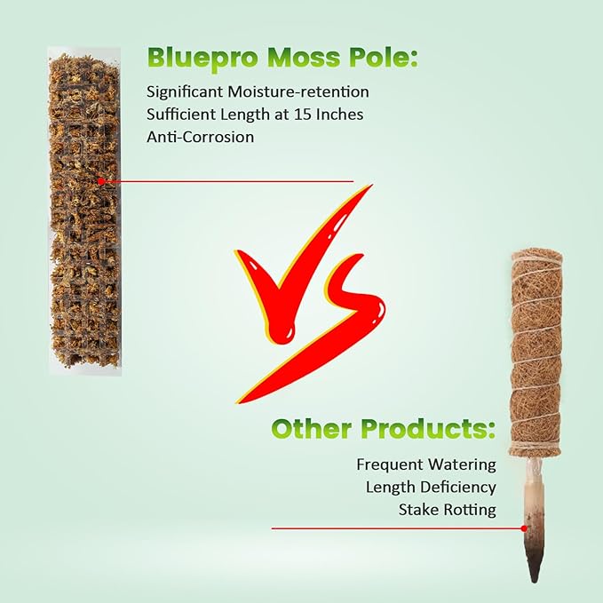 15 Inch 6 Pcs Plastic Moss Pole for Plants Monstera, 6×15'' Plant Poles for Climbing Plants, Plant Support for Indoor Plants Work with Sphagnum Moss