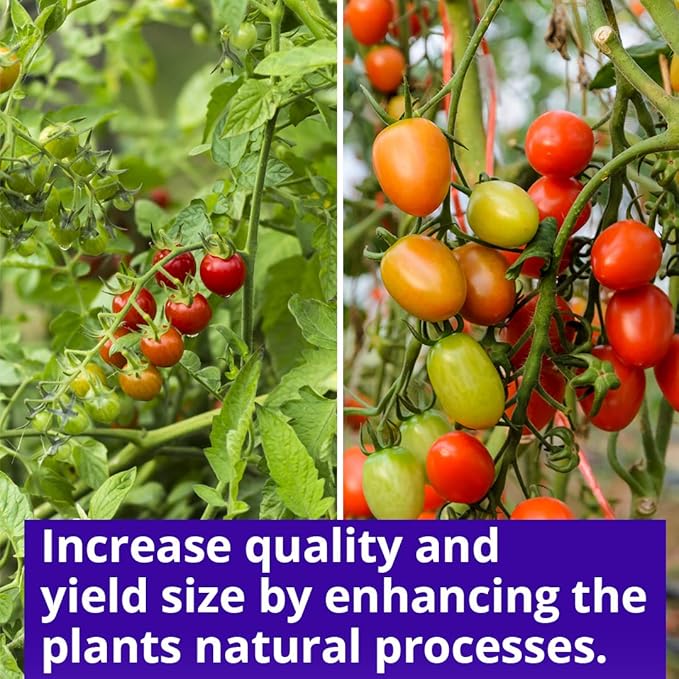 Humboldts Secret Sweet & Sticky – Carbohydrate and Saccharide Energy Source – Enhance Aroma and Flavor of Plants – Potting Soil for Indoor Plants – Energy and Food for Plants – 5 Gallon