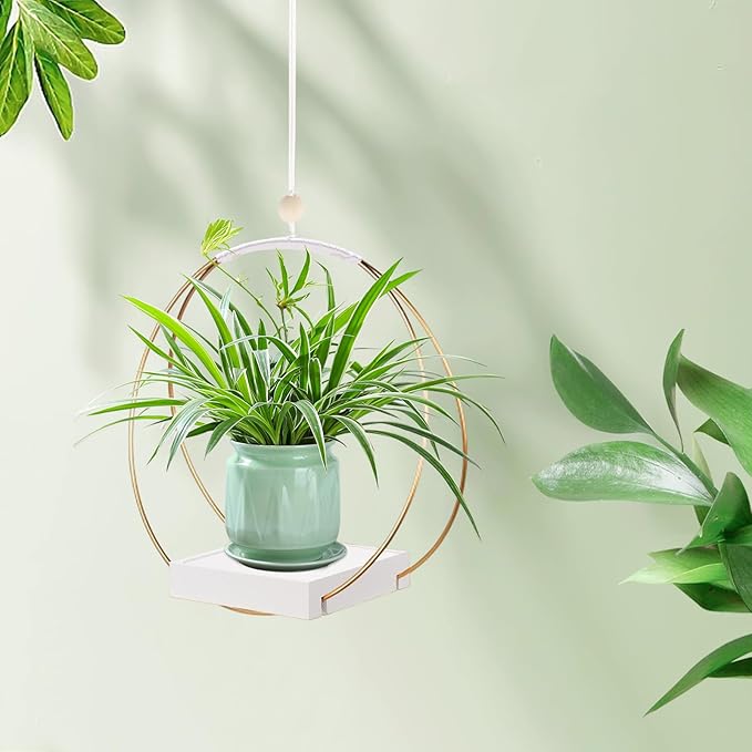 Hanging Planters for Indoor Plants, Plant Hanger with Sturdy Wood Base,Modern Boho Macrame Plant Hanger,Wall Ceiling Window Stands(Plants/Pots Not Included)