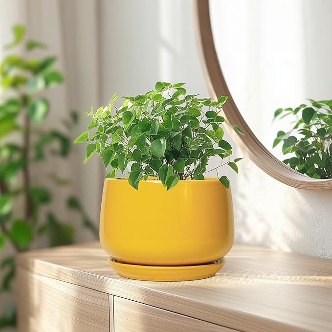 G EPGardening Ceramic Pots for Plants - 7 Inch Plant Pot with Drainage Hole and Saucer, Modern Ceramic Planter for Indoor Outdoor, Round Flower Planter, Gifts for Plants Lovers, Home Decor, Yellow