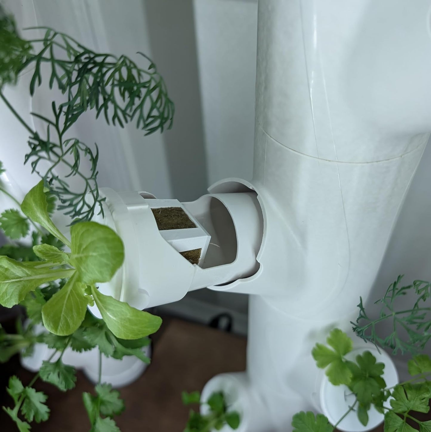 Grow Cubes for Hydroponic System/Compatible with Gardyn (20 Cubes+Rockwool)