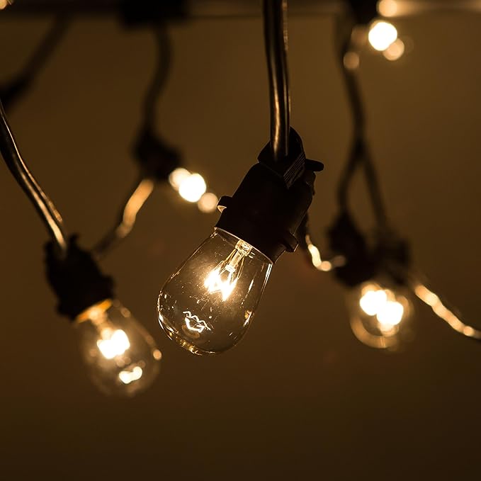 Hometown Evolution, Inc. Commercial E26 String Lights with 16 Gauge Wire (50 Foot 25 Socket, S14 11 Watt Clear Bulb)