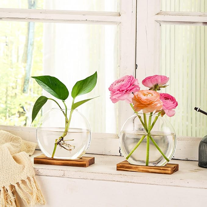 4 Pack Plant Propagation Station with Wooden Base Glass Terrariums for Indoor Plants Decorative Round Vases for Flowers Hydroponic Planter for Home Office Decor