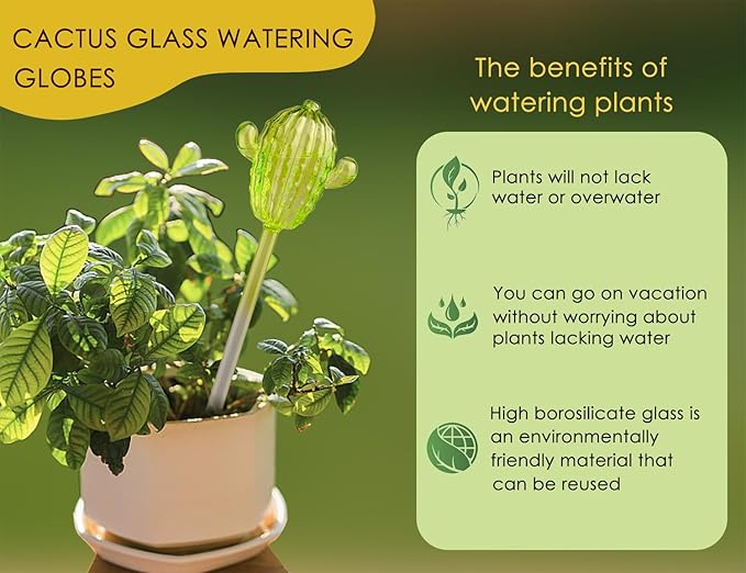 Adabocute Glass Plant Watering Globes, Cactus Self Watering Globes, Cacti Self Watering Planter Insert, Plant Watering Devices, Automatic Plant Waterer Indoor, Watering Bulbs, 3 Pack