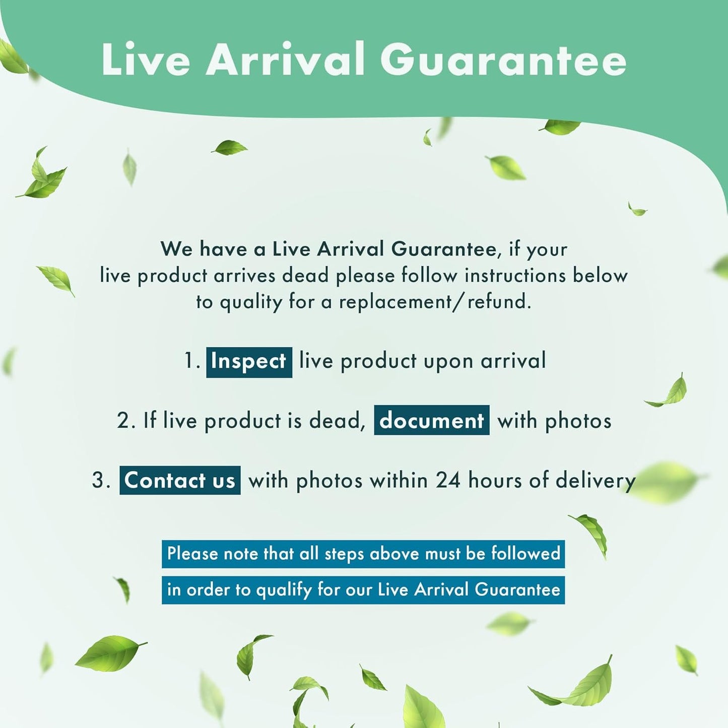 Anubias Live Aquarium Plants - Potted Freshwater Plant for Fish Tanks, Terrariums - Beginner Friendly Low Light (Nana Pinto, 1 Pot)