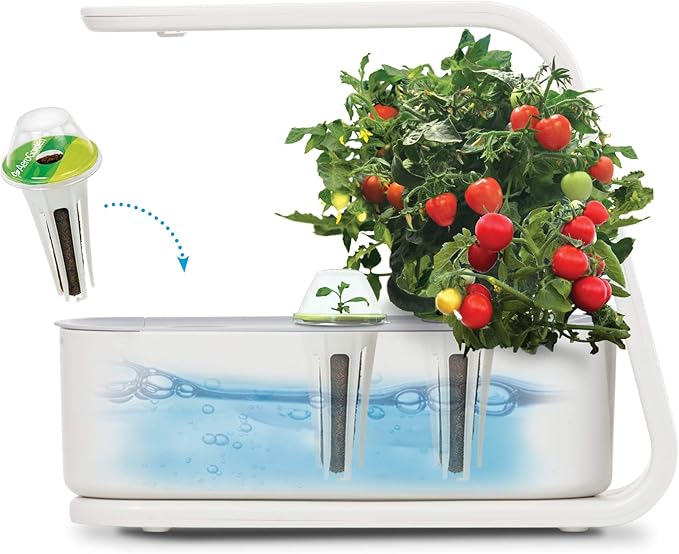 AeroGarden Sprout - Indoor Garden with LED Grow Light, White