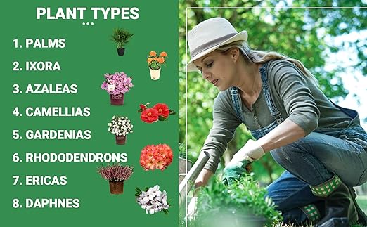 8-4-8 Professional Palm Tree Fertilizer Plant Food; for Indoor Potted Plants and Outdoor Landscape Palm Trees; Quick-Release Nitrogen Fertilizer and Continuous Feeding (1/2 Quart)