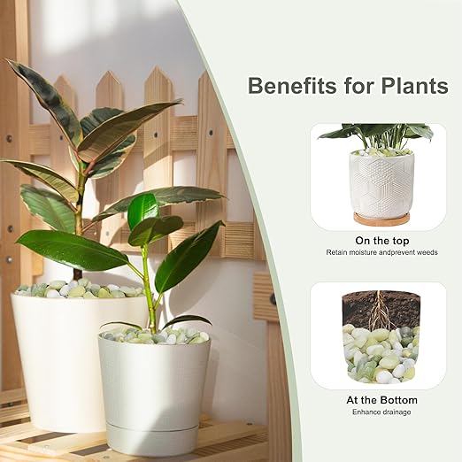 10 lbs Jade Pebbles for Indoor Plants, Decorative Pebbles for Bamboo, Vase, 3/8" Plant Gravel for Pots Indoor, Highly Polished Small River Rocks