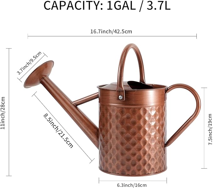 1 Gallon Metal Watering Can for Outdoor Indoor Plants, Copper Colored Watering Can with Removable Spray Spout, Ideal for Garden Watering