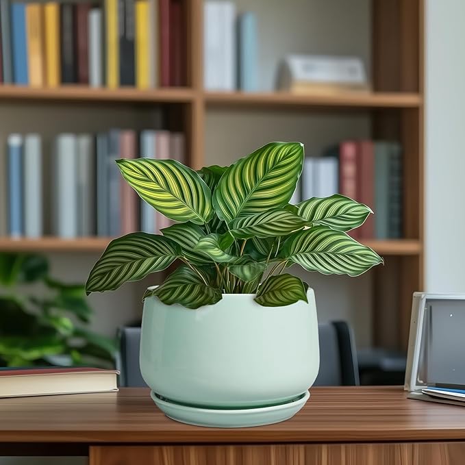 G EPGardening Ceramic Plant Pots - 7 Inch Planter for Indoor Outdoor Plants, Ceramic Planter with Drainage and Saucer, Round Modern Flower Pots, House Decor, Gift for Men Women, Green