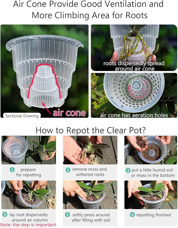 6 inch Orchid Pots with Holes for Repotting with Excellent Airflow, Set of 1, Double Layer Plastic Imitate Ceramic Orchid Planter, Clear Orchid Pot Match Decorative Orchid Container