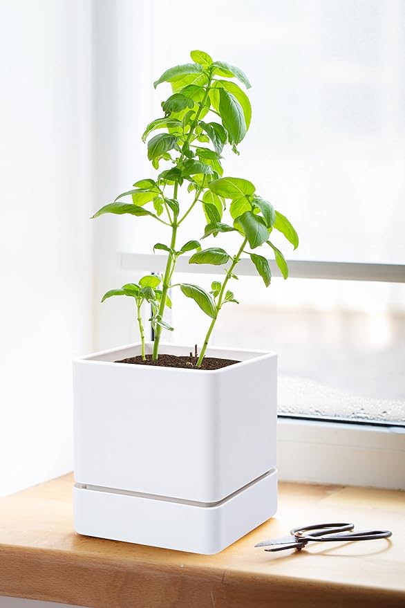 4 Inch Herb Planter Pot, Plastic Planter with Drainage Holes and Saucer, Modern Decorative Gardening Pot for Indoor Plants, Flowers, Herbs, Succulents, White, Set of 4, 76-Y-A-4