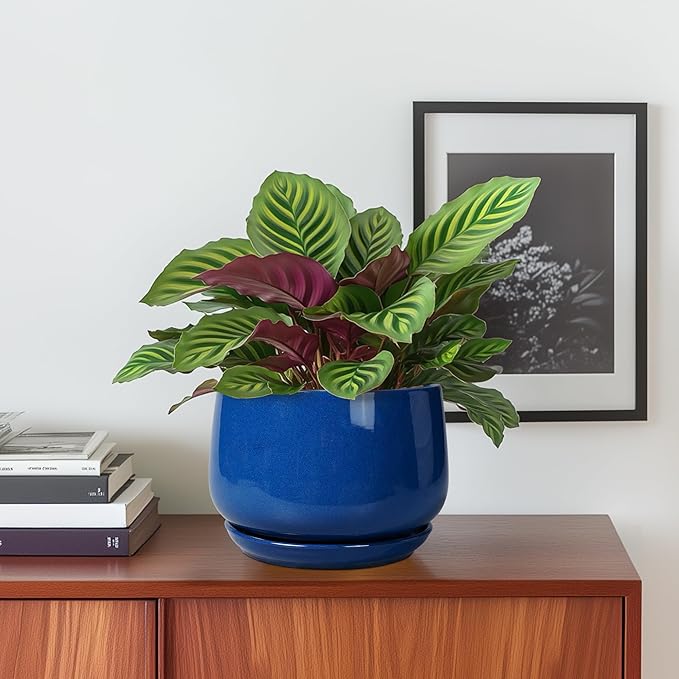 G EPGardening 6 Inch Plant Pot - Round Ceramic Planter Indoor with Drainage and Ceramic Saucer for Flower, Modern Desk Decor, Modern Garden Gift, Blue