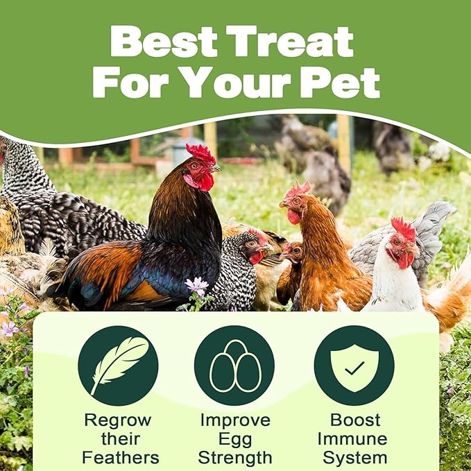 5LB Dried Black Soldier Fly Larvae, 86X Calcium Than Dried Mealworms, High Protein Non-GMO Organic Chicken Feed