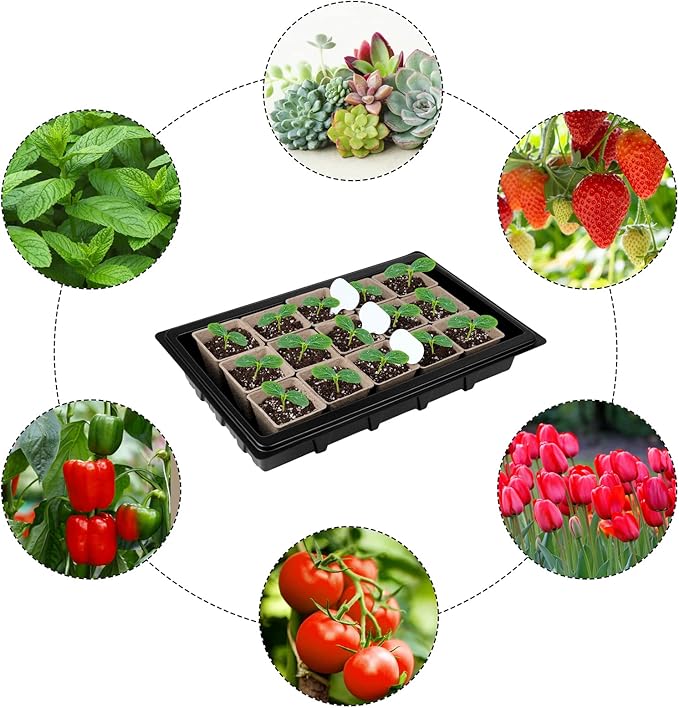 Aodaer 247 Pack Seed Starter Kit Including Peat Pots for Seedlings Seed Starter Tray with Plant Labels, Tool, Plastic Growing Trays Germination Tray Paper Seedling Cups for Indoor Outdoor Garden