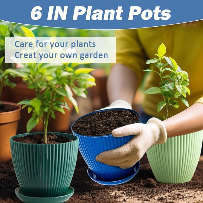 6 Pack Plant Pots with Drainage Holes and Saucers 6 Inch Plastic Planter with 3 Colors Indoor and Outdoor Flower Pots