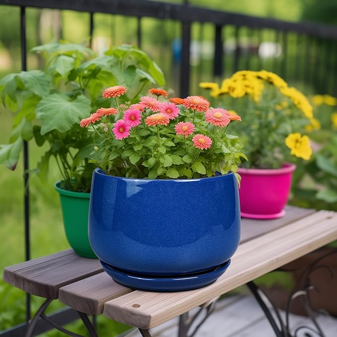 G EPGardening Ceramic Pots for Plants, 9 Inch Modern Round Planter with Drainage and Tray Indoor Outdoor for Flower, Patio Decor, Housewarming Gifts, Blue