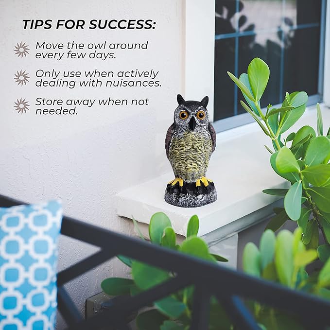 Galashield Owl Decoy | Plastic Owls to Scare Birds Away | Owl Statue for Garden & Outdoors - Pack of 3