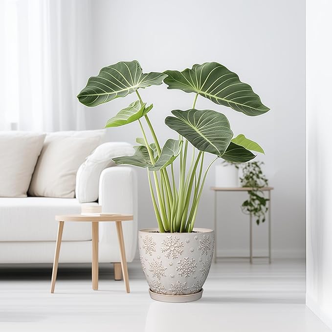 10 Inch Ceramic Planter Pot Large Plant Pot for Indoor Plants Outdoor Round Flower Pot with Drainage Hole and Saucer for Home Garden Decor White