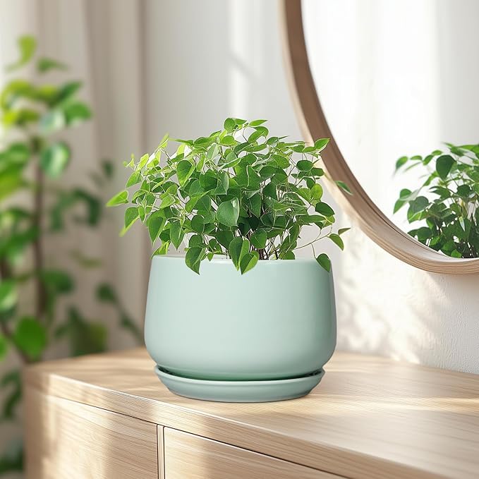 G EPGardening Ceramic Plant Pots - 7 Inch Planter for Indoor Outdoor Plants, Ceramic Planter with Drainage and Saucer, Round Modern Flower Pots, House Decor, Gift for Men Women, Green