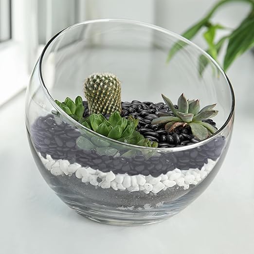 10 lbs Black Pebbles for Indoor Plants, Succulent, Bamboo, Vase, 3/8" Plant Rocks for Pots Indoor, Small River Rocks Decorative Pea Gravel, Highly Polished