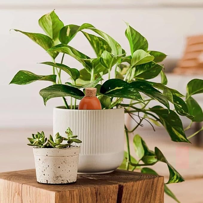 4 Pack Olla Watering Pot, Self Watering Globes 5.2oz Slow Release Terracotta Watering Spikes for Indoor Outdoor Plants, Easy to Refill Automatic Dripping Clay Bulbs Planter Insert (4.9" Tall, Cone)