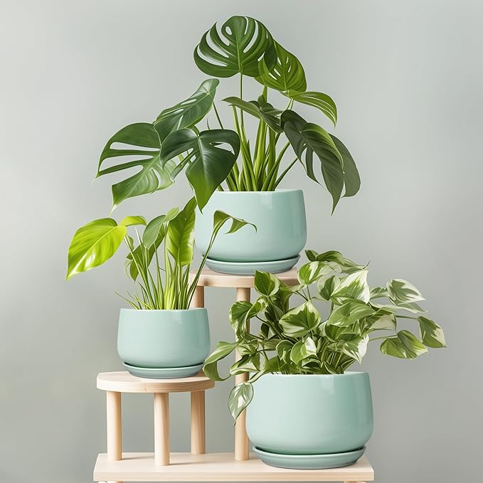 G EPGardening Ceramic Pots for Plants - 9 Inch Ceramic Planter with Drainage and Saucer, Round Planter for Indoor Outdoor Plants, Modern Flower Pots, Garden Decor, Birthday Gifts, Green